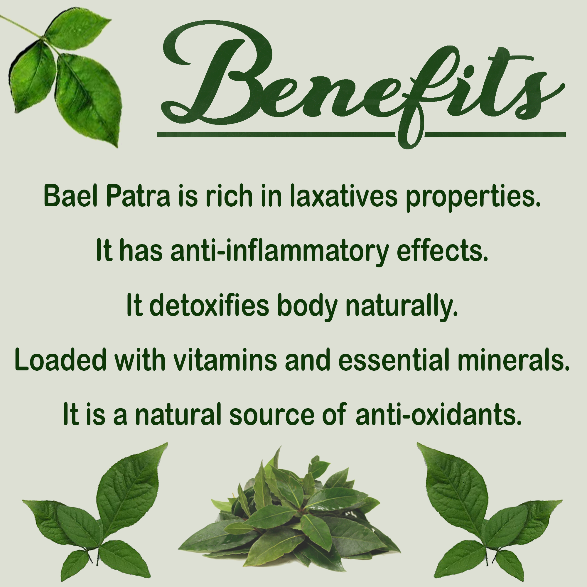 Havintha Natural Bilva Bael Patra/Leaf Powder - 227 gms - Organic ...