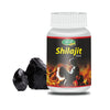 Swadeshi Ayurved Shilajit Vati - 60 Tabs (Pack of 2)
