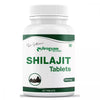 Dr Satnam's Arogyam Ayurveda Shilajit Tablets - 60 tabs