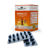 Nisarga Herbs Daily Balance Capsules – 30 Caps