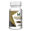 H&C Herbal Licorice Root 450 mg - 120 Veg Capsules