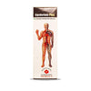 Alakananda Herbals  Plus Syrup - 300 ml