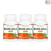 VitaGreen Amla Capsules - 60 Capsules - Pack of 3