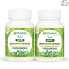 VitaGreen Tulsi - Natural Immunity Booster Supplement - 500 mg - 60 Capsules - Pack of 2