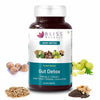 Bliss Welness Gut Detox - 60 tabs