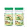 Jaived Ayurveda Sonth Churna - 100 gms (Pack of 2)