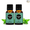 Earth N Pure Peppermint Essential Oil (Pudina Oil) - 15 ml each - Pack Of 2