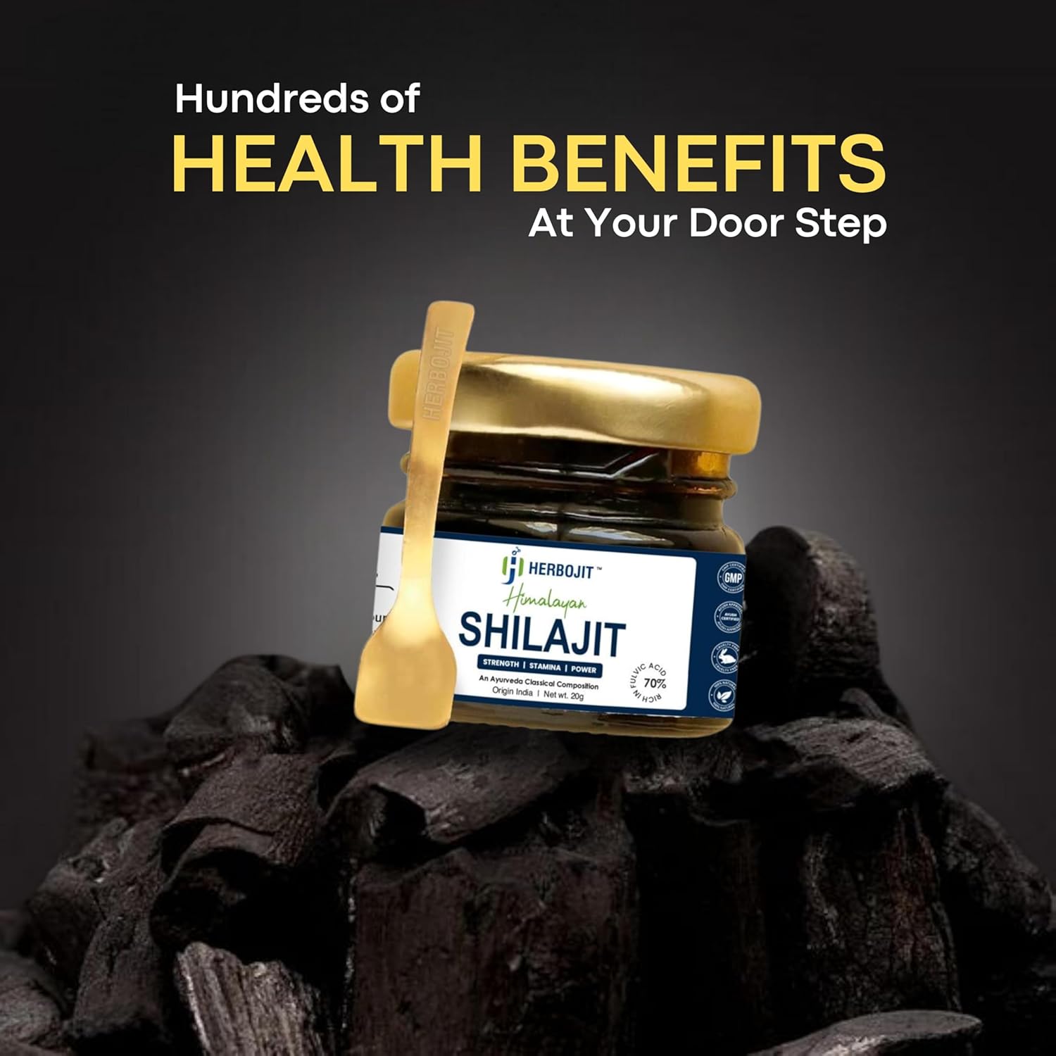 Herbojit Himalayan Shilajit Resin 20 Gms | Shilajit Extract | Pure & Natural | Boost Energy, Endurance, Stamina & Immunity