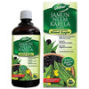 Dabur Jamun Neem Karela Juice - 1 litre