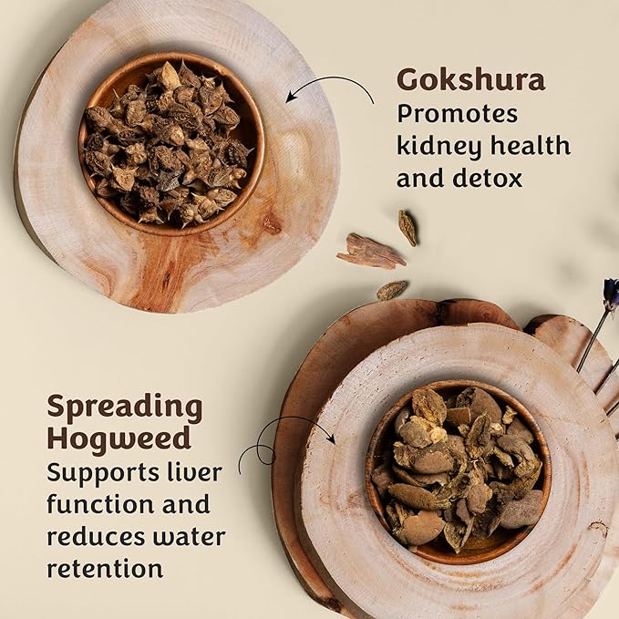 Saabhi Tox-out Juice | Ayurvedic Herbal Blend With Gokshura & Punarnava - 1 Litre