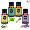 Earth N Pure Lavender, Lemongrass, Peppermint & Eucalyptus Essential Oils Combo ( 15 ml each)