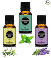 Earth N Pure Lavender, Peppermint & Eucalyptus Essential Oils Combo (15 ml each)