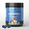 INLIFE Hydrolyzed Type 1 & 3 Collagen Peptides Blueberry Flavor - 200 gms
