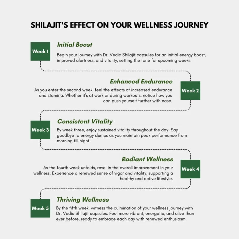 Dr. Vedic Shilajit Capsules - 60 Caps
