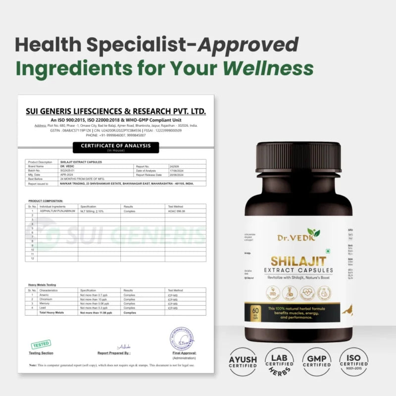 Dr. Vedic Shilajit Capsules - 60 Caps