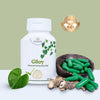 Pravek Giloy - 60 Capsules