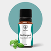 Herbal Tantra No Congest Steam Oil for Steam - 15 ml
