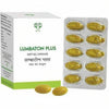 AVN Ayurveda Lumbaton Plus - 60 Capsules