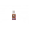 Guru Prasadam Stonaway Powder - 12 gms