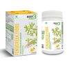 Body first Fenugreek Fibre