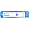 Boiron Berberis Vulgaris Multi Dose Approx 30 CH - 80 Pellets
