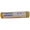 Boiron Eupatorium Perfoliatum Pellets - 80 Pellets
