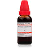 Dr. Willmar Schwabe India Ocimum Gratissimum Mother Tincture Q - 30 ml