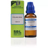 SBL Stellaria Media Dilution - 30 ml