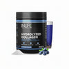 INLIFE Hydrolyzed Collagen Peptides Powder Blueberry Flavor - 200 gms