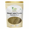 Yuvika Bhumi Amla Powder - Bhoomi Awla Powder- Phyllanthus Niruri - Fillanto Niruhi