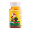Guru Prasadam Botanical Wellness Tablets - 30 Tabs