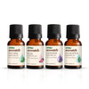 Vasu Aromatics Combo of Rose Tea Tree & Eucalyptus & Lavender Essential Oil - 40 ml