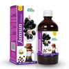 Basic Ayurveda Jamun Vinegar - 450 ml